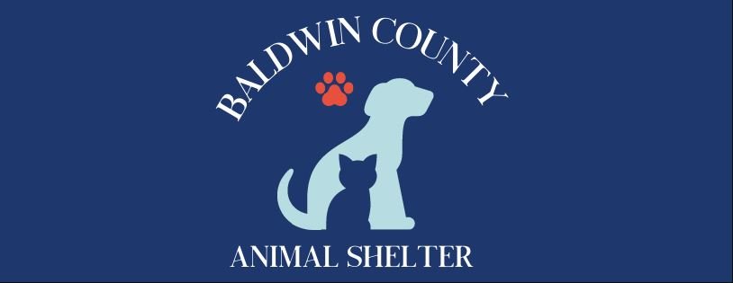 Want to get involved? Baldwin County Animal Shelter needs dog walkers,  volunteers to play, socialize | Gulf Coast Media
