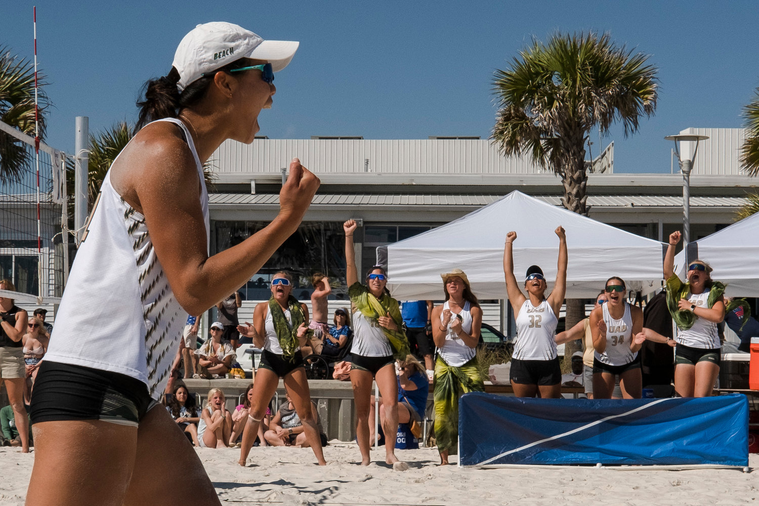 Get a first look at NCAA beach volleyball championship teams in Gulf Shores this weekend